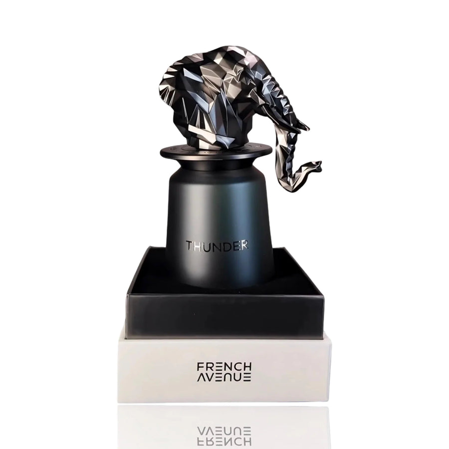 Unisex Eau de Parfum Thunder by French Avenue 100ml