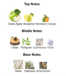 Perfume fragrance notes chart showing green apple, bergamot, mandarin orange top notes, cedar, petitgrain, cashmere, violet middle notes, musk, oakmoss, amberwood base notes.