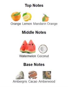 Perfume notes chart with top notes of orange, lemon, mandarin; middle notes of watermelon, coconut; base notes of ambergris, cacao, amberwood.