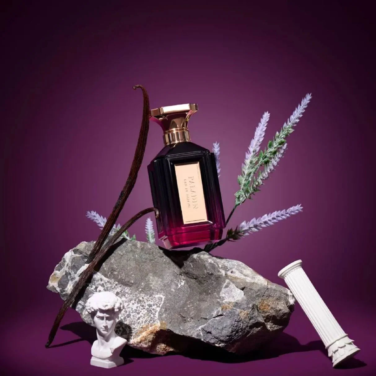 Velixir Paladin Eau de Parfum for Unisex 100ml