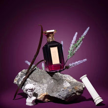 Velixir Paladin Eau de Parfum for Unisex 100ml