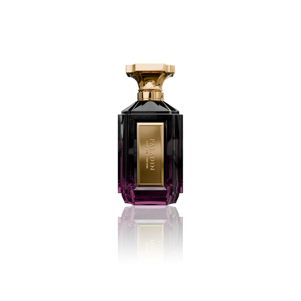 Velixir Paladin Eau de Parfum for Unisex 100ml