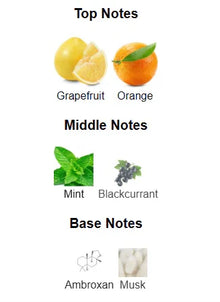 Perfume notes chart showing top notes of grapefruit and orange, middle notes of mint and blackcurrant, and base notes of ambroxan and musk.