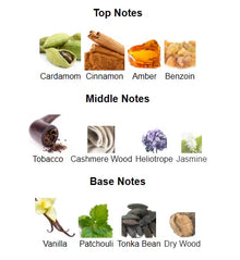 Perfume notes chart showing cardamom, cinnamon, amber, benzoin, tobacco, cashmere wood, heliotrope, jasmine, vanilla, patchouli, tonka bean, and dry wood.