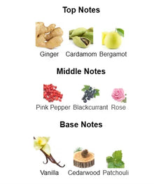 Perfume fragrance notes chart with images of ginger, cardamom, bergamot, pink pepper, blackcurrant, rose, vanilla, cedarwood, and patchouli.