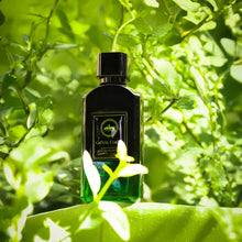 Al Ambra
Green Forest Extrait de Parfum