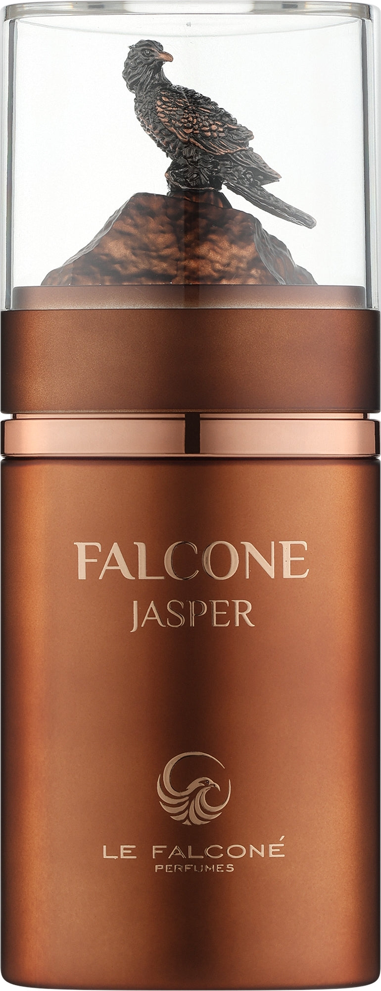 Jasper Eau de Parfum 100ml by Le Falcone for Men