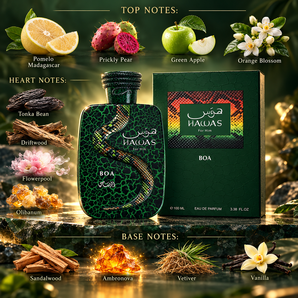 Rasasi Hawas Boa EDP 100ml verified top heart and base fragrance notes with ingredient illustrations